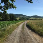 Coaching als Weg für Karriere und bessere Work Life Balance